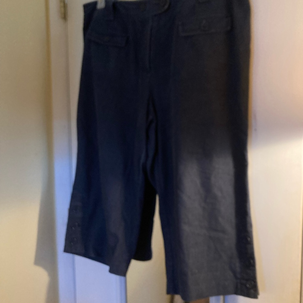 Women’s Larry Levine Blue Capris